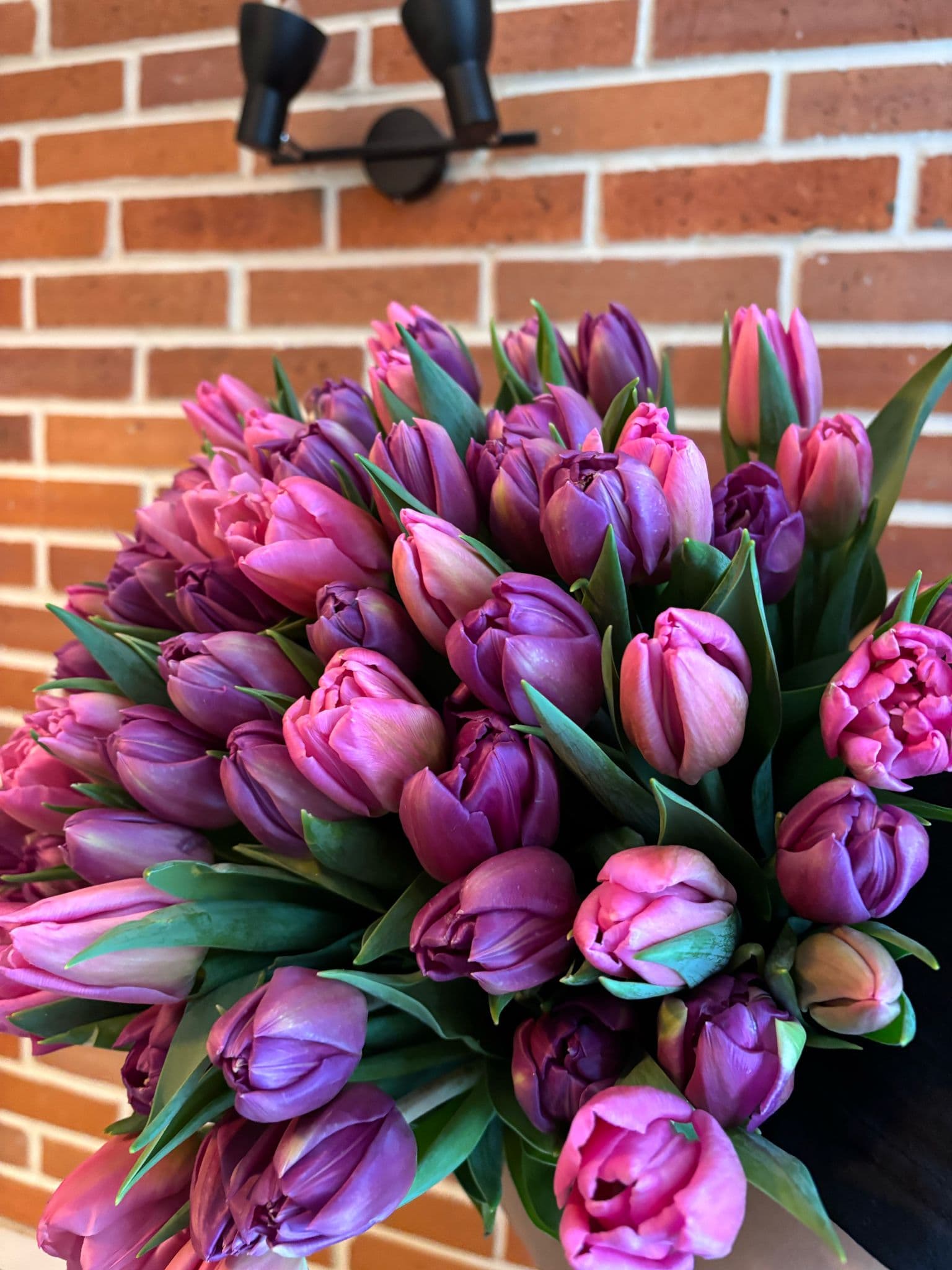 Tulipany